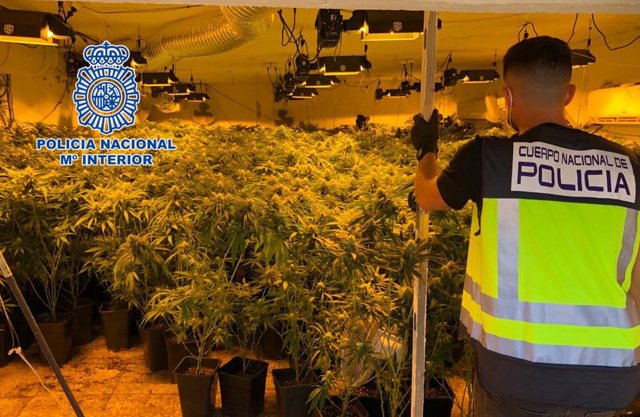 Un agente en uno de los registros domiciliarios en El Quemadero, en Almería