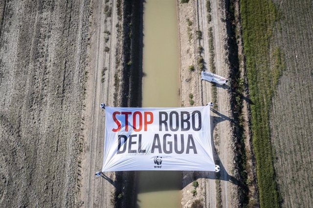Acción WWF España en Doñana en el Día de los Humedales