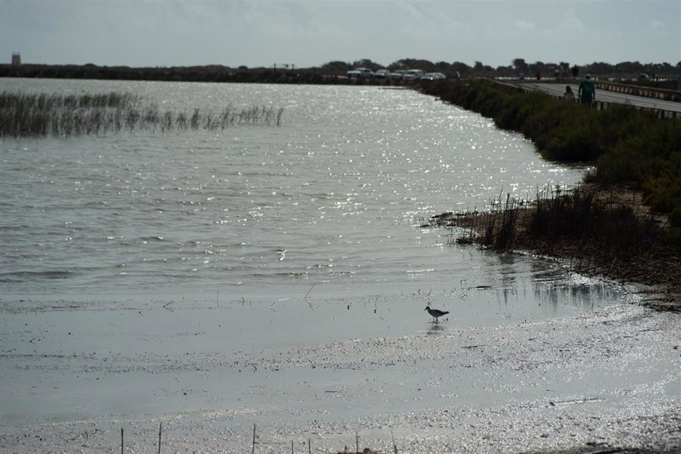 Archivo - Plano general de las Salinas del Mar Menor, en San Pedro del Pinatar, a 9 de agosto de 2021, en Murcia (España). 