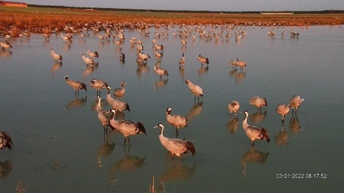 Humedal en La Moraña.