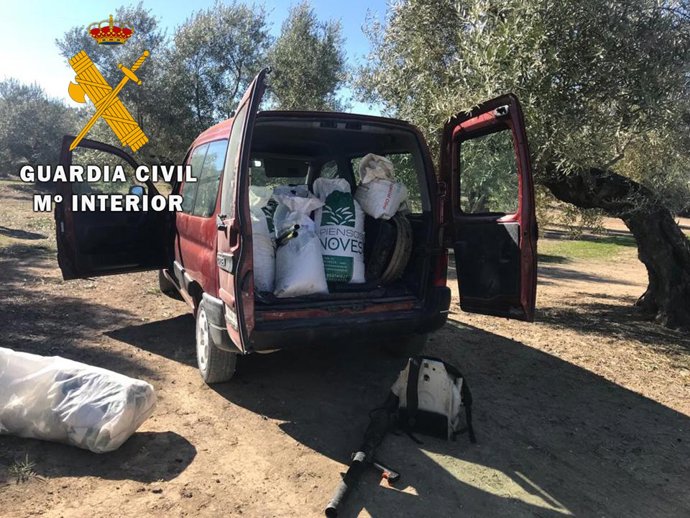 Aceituna sustraída en uno de los hurtos investigados.