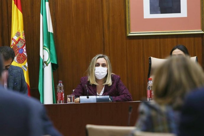 La consejera de Fomento, Infraestructuras y Ordenación del Territorio, Marifrán Carazo