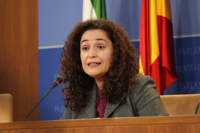 La portavoz de Unidas Podemos por Andalucía, Inmaculada Nieto, este miércoles en rueda de prensa.