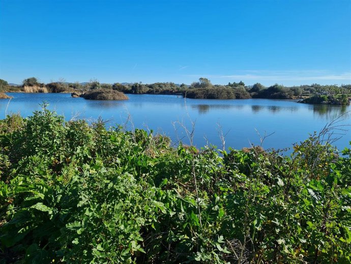 Laguna asociada a la depuradora de Felanitx.