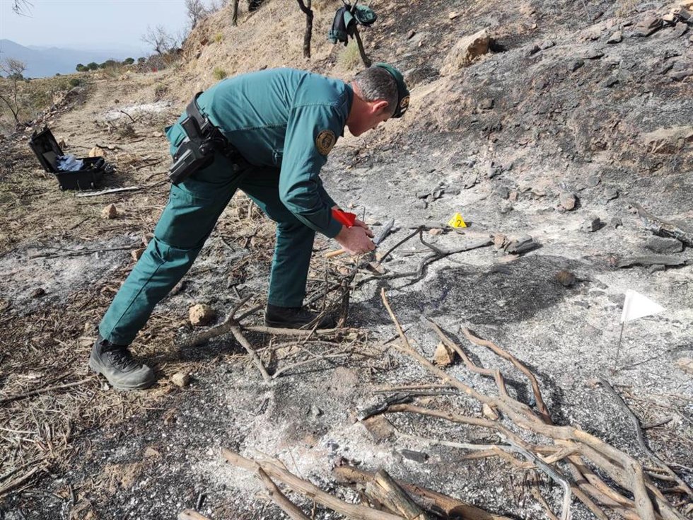 Investigación tras el incendio forestal de Lecrín