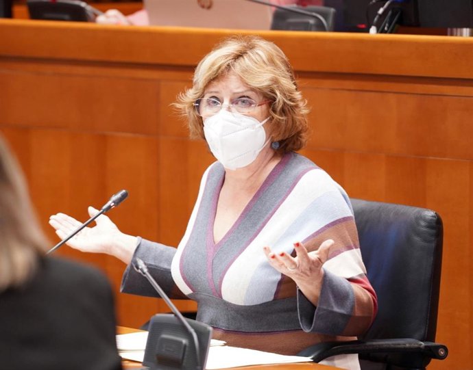 La consejera de Ciudadanía y Derechos Sociales del Gobierno de Aragón, María Victoria Broto, durante su comparecencia, en comisión, en las Cortes autonómicas.