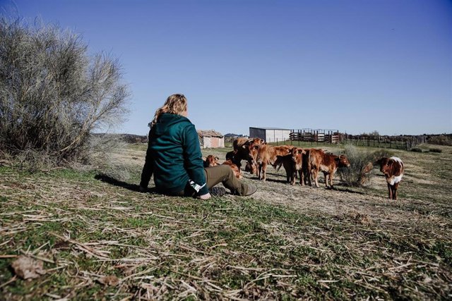 Una mujer observa el ganado en una finca de ganadería extensiva en Colmenar Viejo, a 12 de enero de 2022, en Madrid (España).