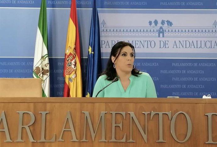 La portavoz del Grupo Socialista en el Parlamento andaluz, Ángeles Férriz, en rueda de prensa.
