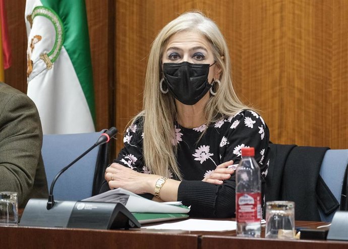 Casi cuatro millones de personas visitan los museos y conjuntos de la Junta en 2021, un 44,1% más que el año anterior