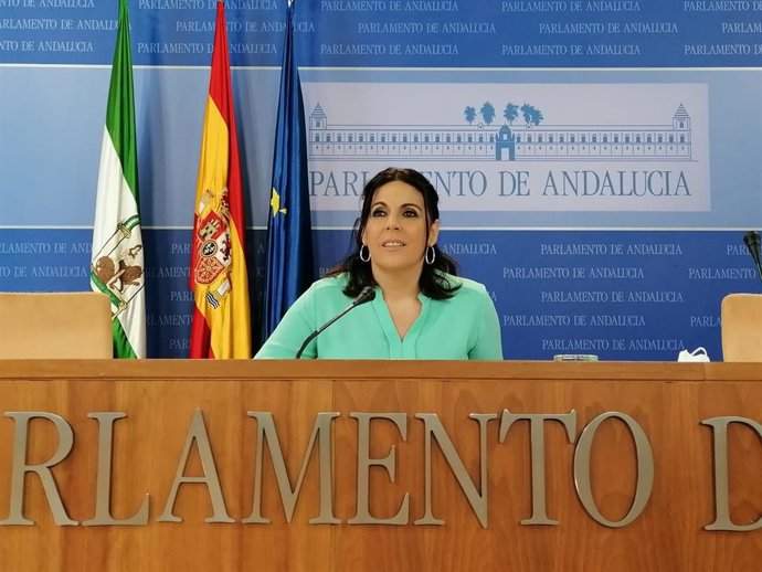 La portavoz parlamentaria del Grupo Socialista, Ángeles Férriz, en rueda de prensa.