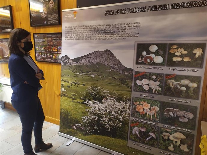 Alba Delgado en la exposición de setas en el Aula de la Naturaleza