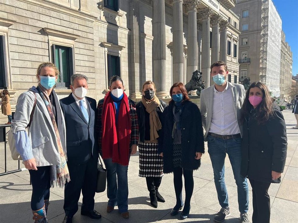 La diputada del PSOE en la Asamblea de Madrid Marta Bernardo y la diputada del PSOE en el Congreso de los Diputados María Luz Martínez Asenjo, Junto con otros parlamentarios a las puertas del Congreso de los Diputados