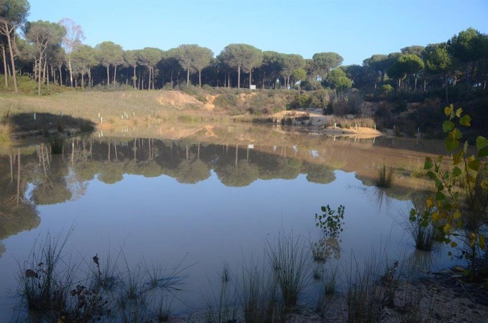 Archivo - Humedal del Lince, en Doñana, en una imagen de archivo.