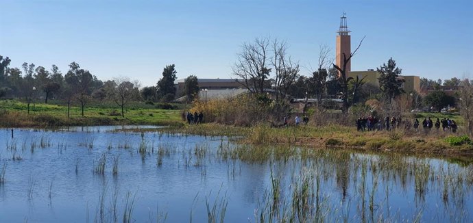 Humedales del campus universitario.