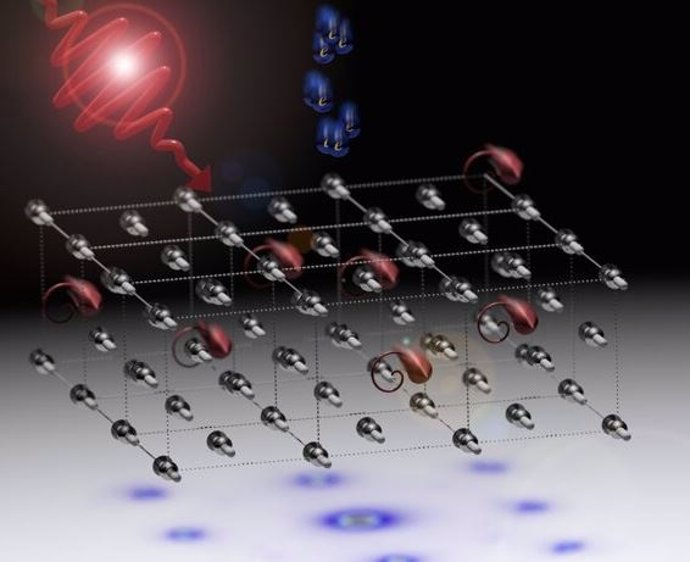 Durante la desmagnetización ultrarrápida, la rotación de los momentos magnéticos conduce a un movimiento de rotación inmediato de los átomos.