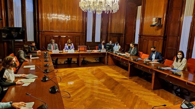 Comissió de l'Estatut dels Diputats del Parlament
