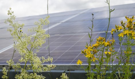 Comunicados Internacional