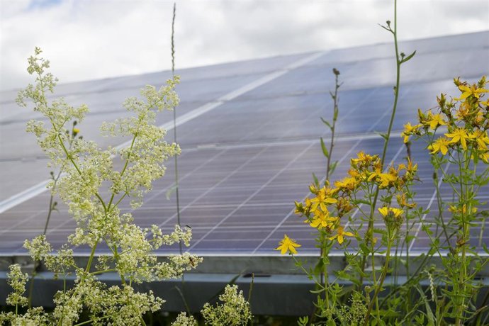 Proyecto solar de BayWa r.E.