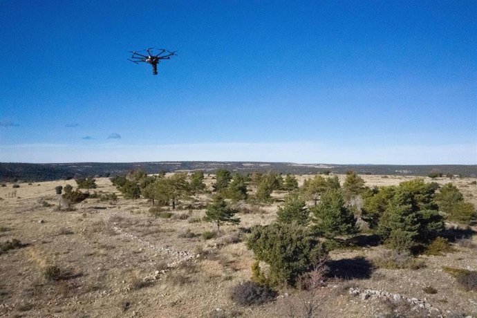 Archivo - Plantación con drones de CO2 Revolution realizada por Iberdrola.