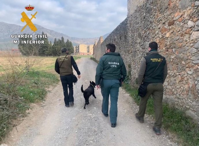 Imagen de los agentes de la Guardia Civil durante la detección de cebos envenenados en Girona