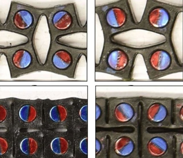 Aspecto del nuevo material, con imanes incrustados cuyos polos son de color rojo y azul. Orientando lo imanes en diferentes direcciones se cambia la respuesta del metamaterial