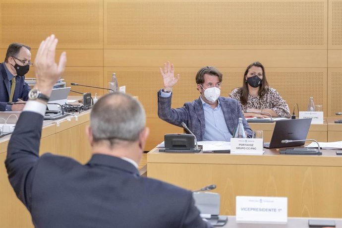El portavoz de CC-PNC en el Cabildo de Tenerife, Carlos Alonso