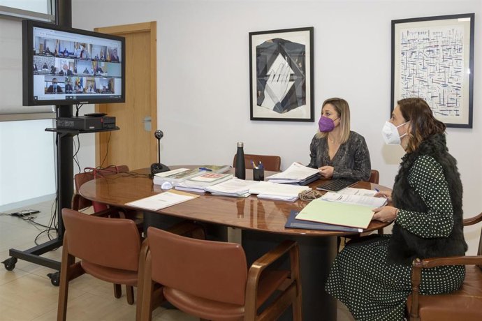 La Consejera De Presidencia, Interior, Justicia Y Acción Exterior, Paula Fernández, Participa En La Reunión Preparatoria De La Conferencia De Presidentes.