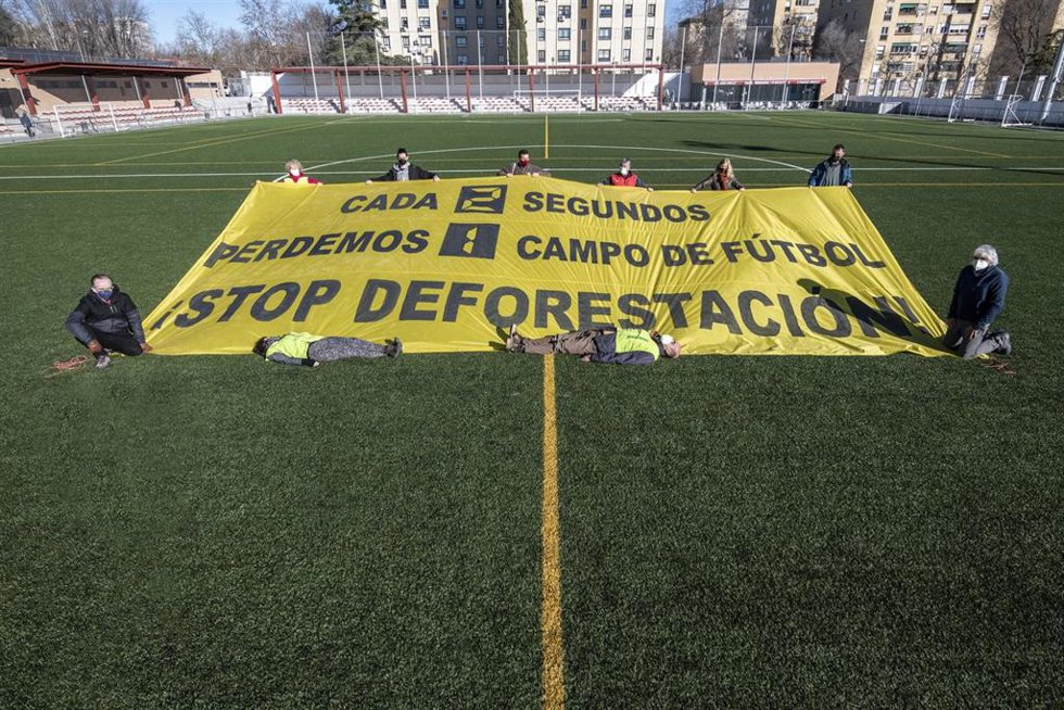 ONG ecologistas reclaman a España ambición en la negociación del reglamento europeo para evitar que los productos importados por la UE contribuyan a la deforestación o perjudiquen los DDHH, conocido como "deforestación importada".