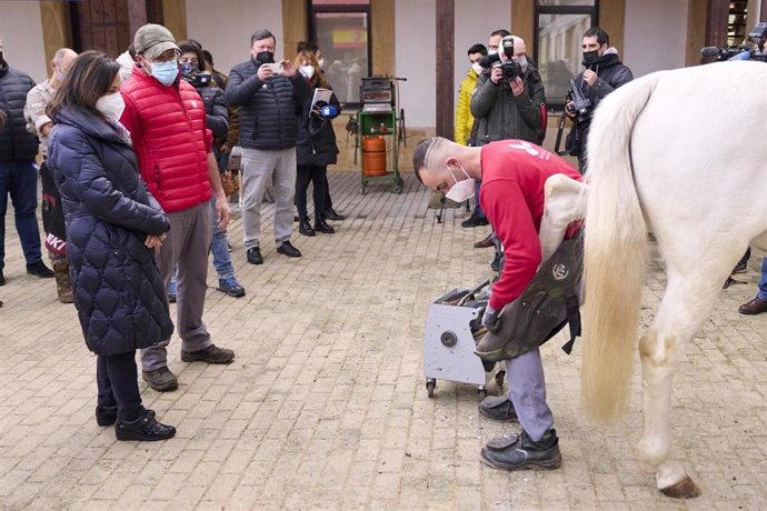 La ministra de Defensa, Margarita Robles, mientras un trabajador hierra un caballo en el Centro Militar de Cría Caballar de Mazcuerras