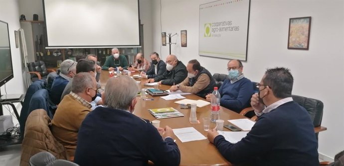 La Mesa de Cítricos de Andalucía anuncia que está homologando un contrato que garantice precios "dignos" al agricultor