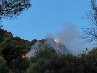 Declarado un incendio forestal en la Calderona provocado por una furgoneta en llamas