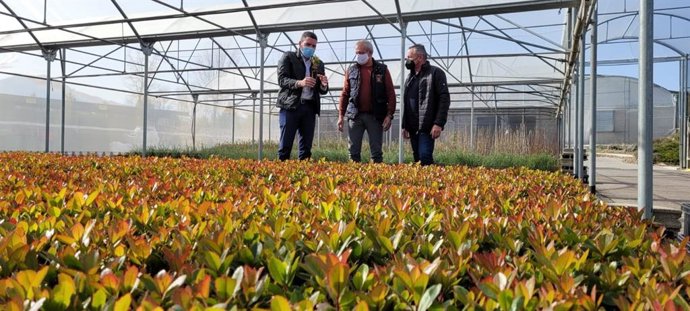 La Comunidad destaca el papel de los viveros municipales para hacer frente al cambio climático en la Región de Murcia