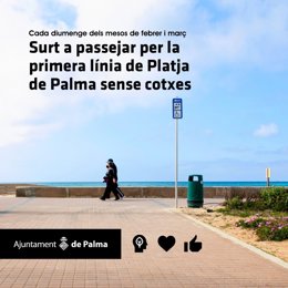 Cierre de la primera línea de la playa de Palma.