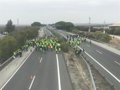 La tractorada convocada por el sector agrario en El Cuervo (Sevilla) se desarrolla con altercados con la Guardia Civil