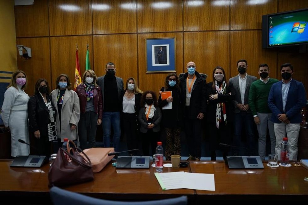 Comisión de Discapacidad del Parlamento andaluz