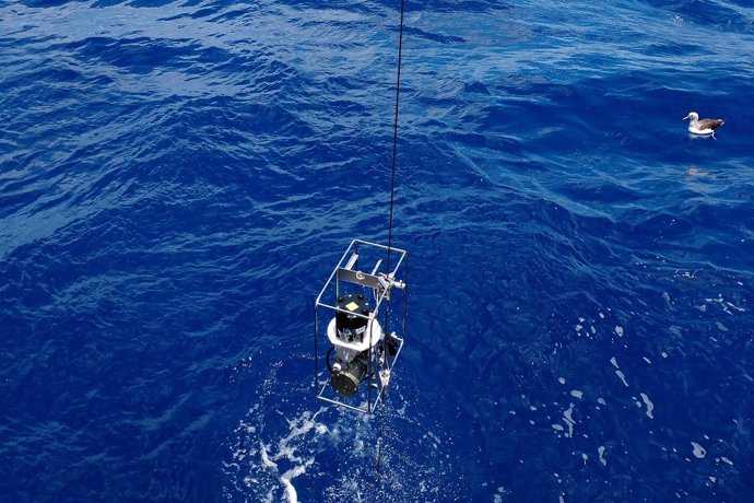 Muestreo posterior en la columna de agua en el Océano Atlántico sur.