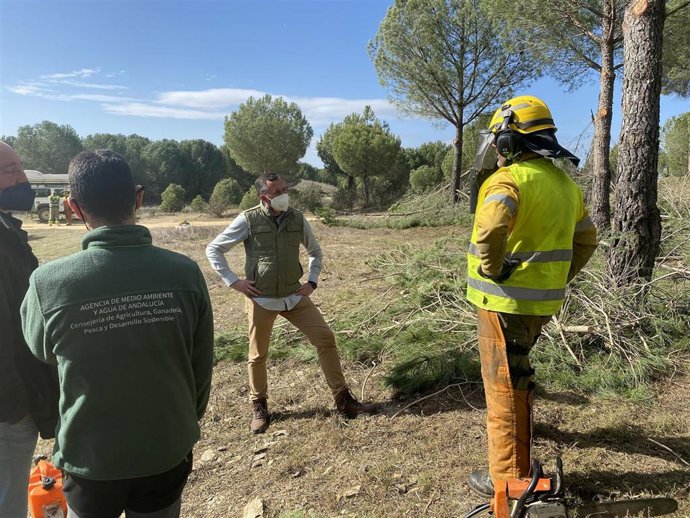 El delegado de Desarrollo Sostenible de la Junta en Huelva, José Enrique Borrallo, en su visita al monte Campanario de Valverde del Camino (Huelva).