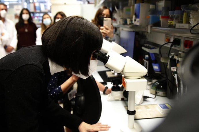 La ministra de Ciencia e Innovación, Diana Morant, observa por un microscopio durante una visita al Institut Hospital del Mar d'Investigacions Mdiques (Imim)