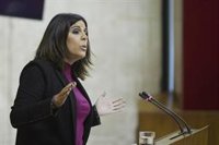 El PSOE-A pedirá el jueves en el Parlamento una convocatoria extraordinaria del programa Andalucía Orienta