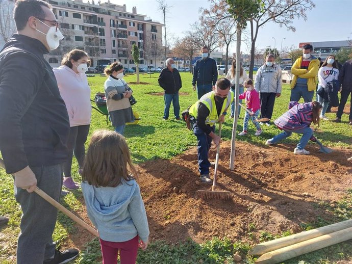 Más de 50 vecinos de Distrito Llevant participan en la siembra de árboles en el parque de Son Fuster Nou