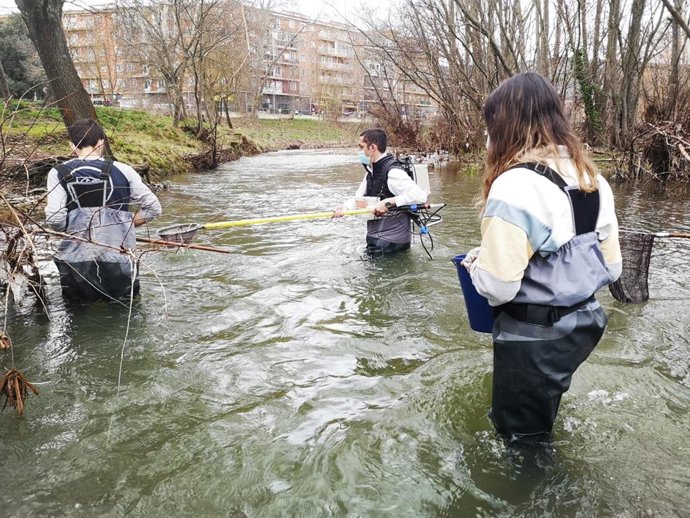 El investigador Rafael Miranda realizando un censo de peces en el marco de las actividades desarrolladas en la II edición de #LabMeCrazy! Science Film Festival.