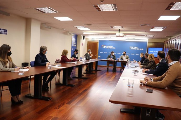 Reunión del Comité de Dirección del PPRM