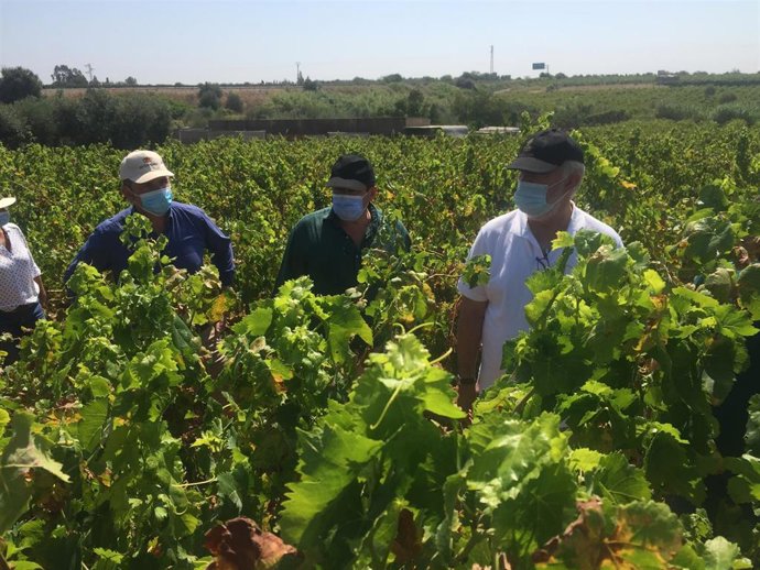 El delegado de Agricultura, Ganadería y Pesca de la Junta en Huelva, Álvaro Burgos, en una visita.
