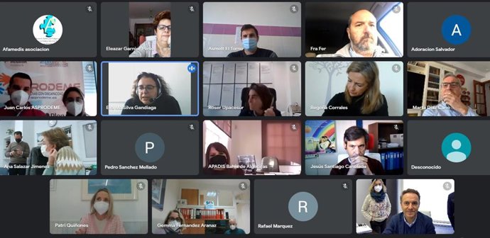 Encuentro del responsable de Bienestar Social de la Diputación de Cádiz, David de la Encina, con representantes de la Federación Provincial de Organizaciones de Personas con Discapacidad Intelectual, Parálisis Cerebral y Autismo, Feproami.