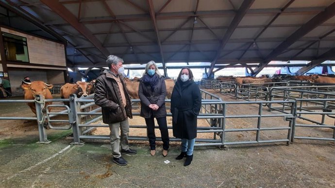 José Luis Díaz, Rocío Huerta y Ana Rosa Nosti