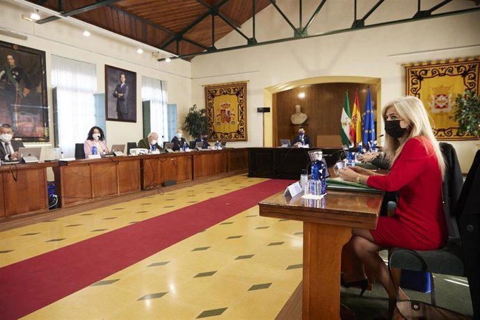 Consejo de Gobierno de la Junta de Andalucia celebrado en Linares.