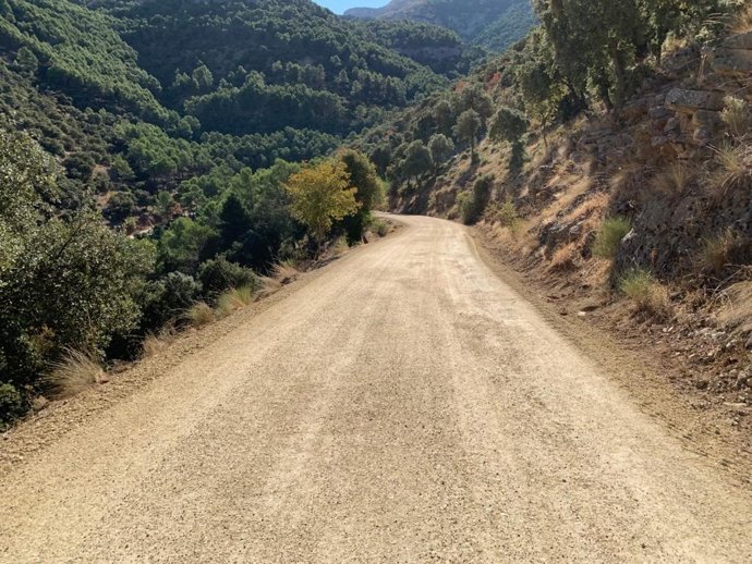 Archivo - Imagen de archivo de un camino forestal.
