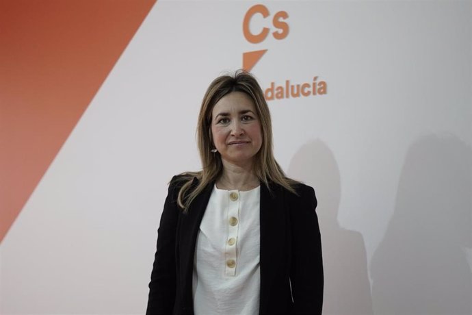 Archivo - Sevilla.-Cs valora los 4,1 millones que Igualdad destinará al Tercer Sector para ayudar a 82.000 sevillanos