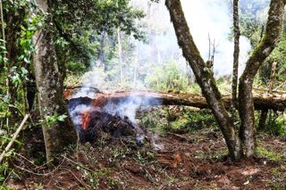 Imagen de archivo de vegetación ardiendo en Kenia