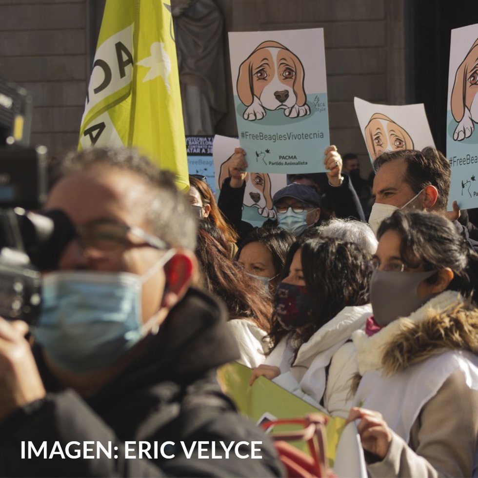 Protesta de PACMA